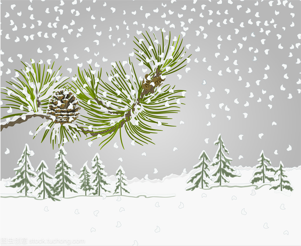 根松枝,与雪圣诞主题矢量